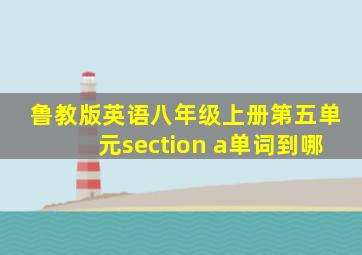 鲁教版英语八年级上册第五单元section a单词到哪